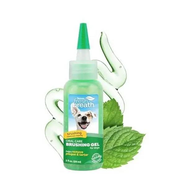 TropiClean Oral Care Brushing Gel for Dogs & Cats| Dog Toothpaste | Pet Dental Gel | Dog Teeth Cleaning Use with Pet Toothbrush | 2 oz