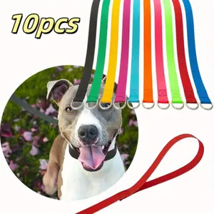 10PCS Colorful Slip Lead Dog Leashes - Durable Leashes with Metal O-Rings for Grooming,Walking, and Training Dogs Cats,Strong Pulling Power in Assorted Colors,Cat Training Leash