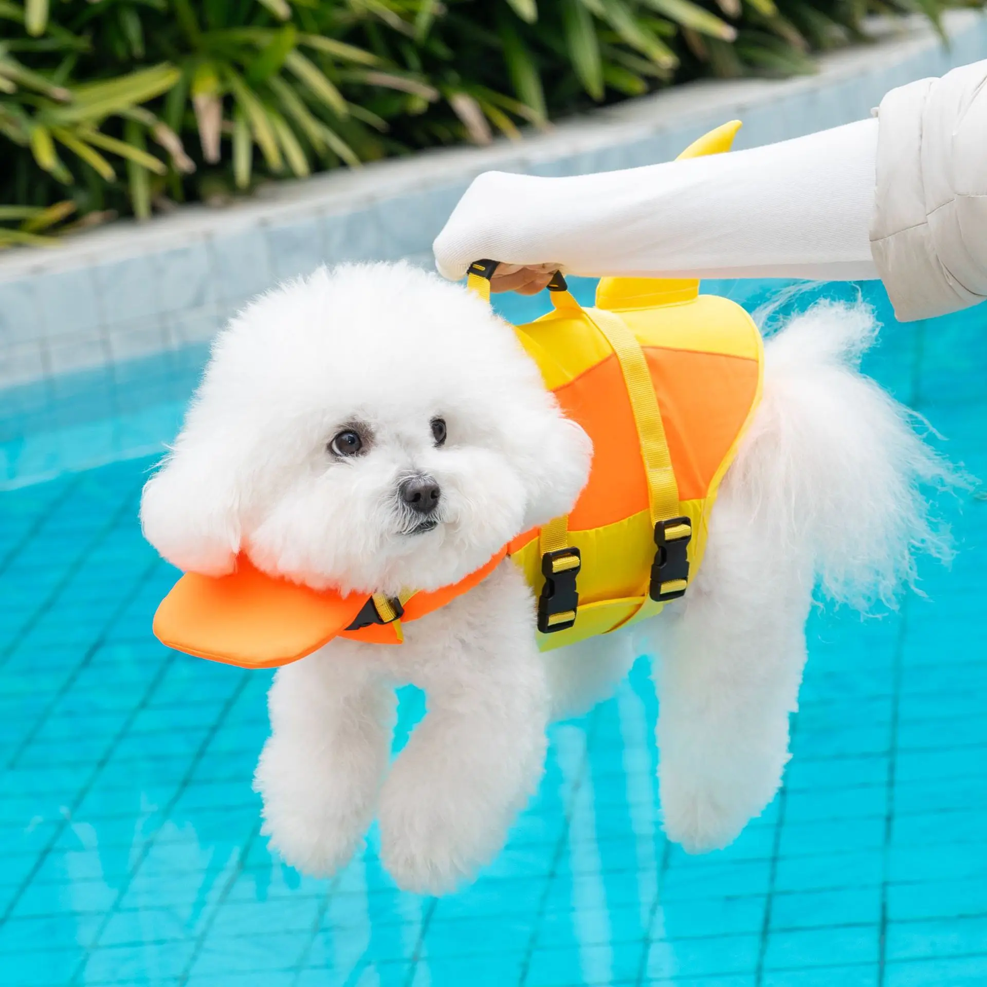Dog Life Jacket for Small-Medium Dogs, Adjustable Pet Flotation Vest with Rescue Handle, High-Visibility Swimming Aid for Pool, Boating, Flotation Aid