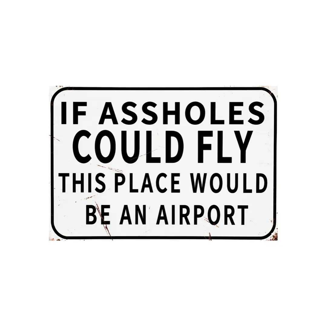 Carastora Sturdy Casual Metal Tin Sign, 8x12 in Retro Garage/Home Wall Decoration Plaque for Mechanics, Humorous Gag Gift with "If I Could Fly This Place Would Be An Airport" Quote for Friends