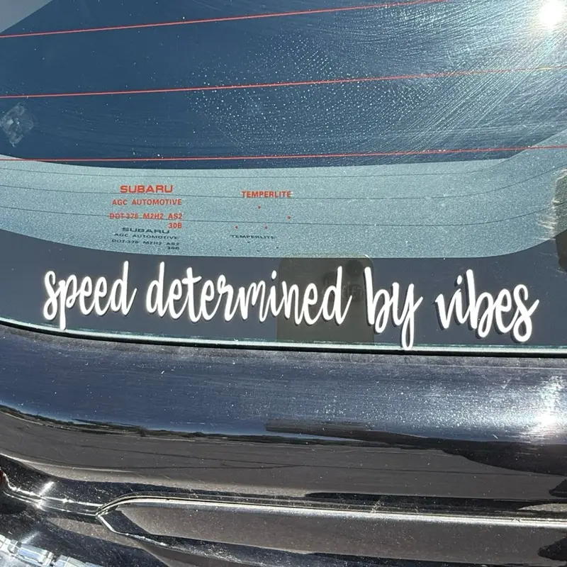 Speed determined by vibes car decal - car decal vibes - vinyl car decal