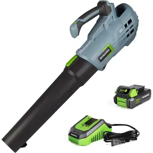20V Leaf Blower, Tool Powered Sweeper, with 2.0Ah Battery and 1 Hour Quick Charger Included
