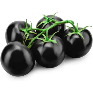Black Beauty Tomato Seeds: Organic, Non-GMO