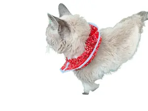 Prey Saver Cat Collar