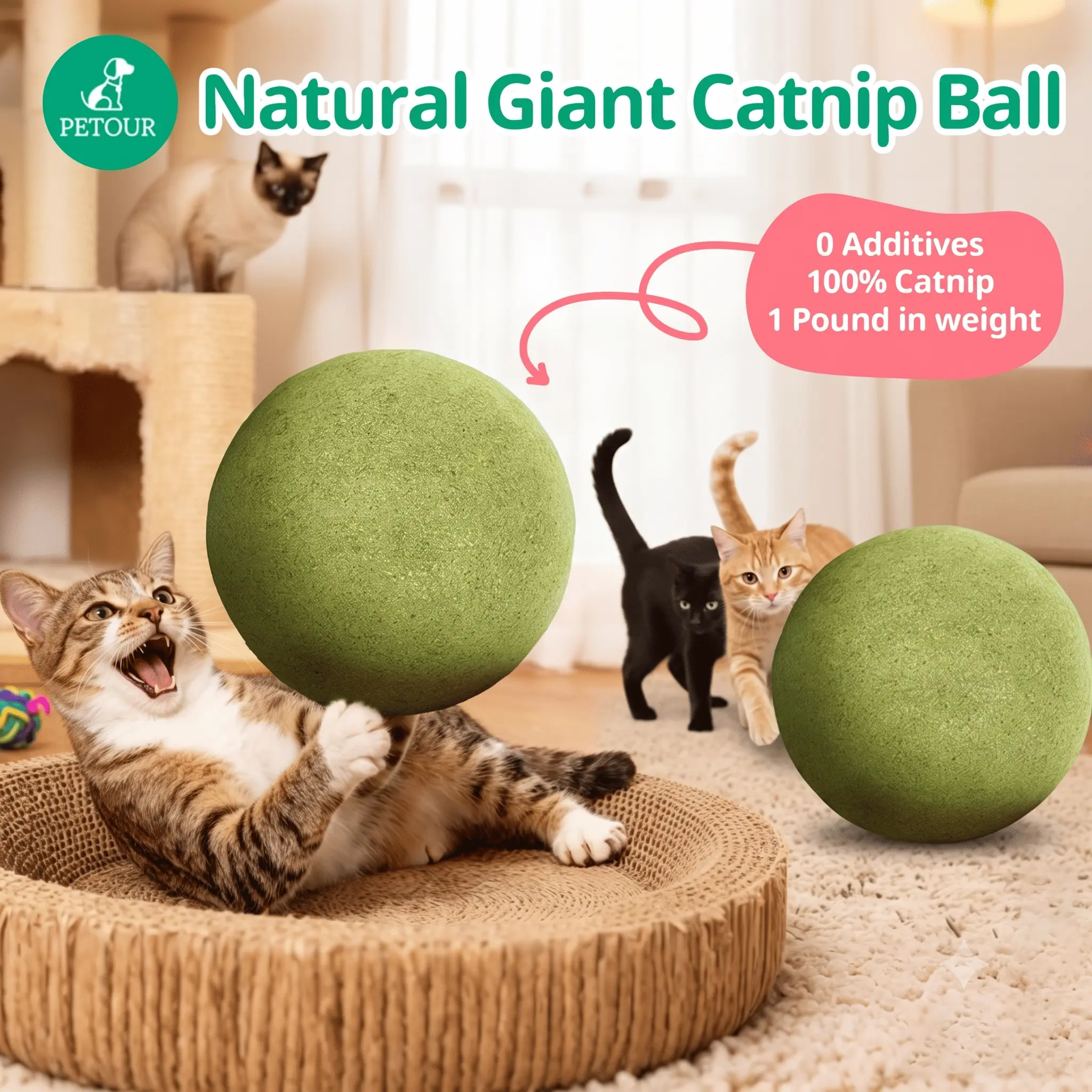 Petour 3.94 Inches Huge Catnip Ball for Indoor Cats, Giant Cat Toys for Kittens, Jumbo Cat Nip Balls, Big Teething Chew Toys, Kitty Teeth Cleaning Lick Dental Toys, Fun Cat Toys, Useful Cat Stuff for Your Cats