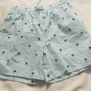 Men's Regular Fit Palm Tree Print Swim Shorts, Casual Comfy Breathable Swim Shorts for Summer, Men's Swimwear for Beach Vacation