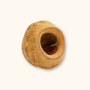 Natural Sapucaia King Pod by Betta Botanicals for Dart Frog Vivariums & Blackwater Aquariums