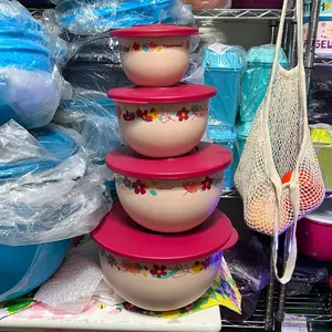 Set (4) Piece with lids bowls