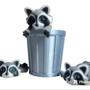 Trash Pandas