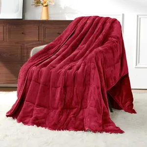 Weighted for Adults Queen Size, 15lbs 60x80 inches Blanket with Soft Warm Plush Fleece, Washable Thick Throw for Sleep, Anxiety and Calming, Red