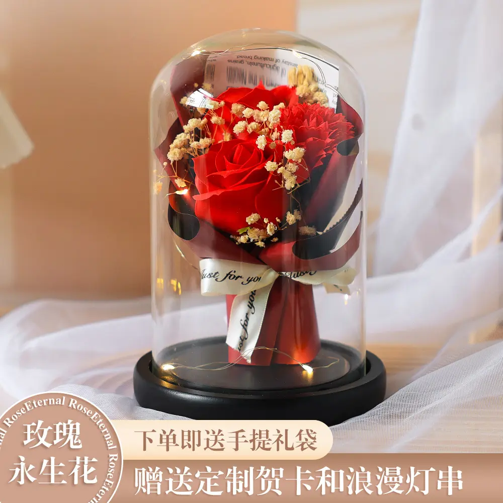 Preserved Rose Glass Dome, Red Rose & Carnation, LED Light, Gift Bag & Card Included