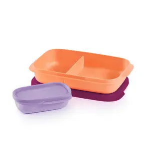 slim lunch container with insert for snacks