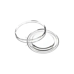 A21 Direct Fit Coin Holders for 21.2mm US Nickels