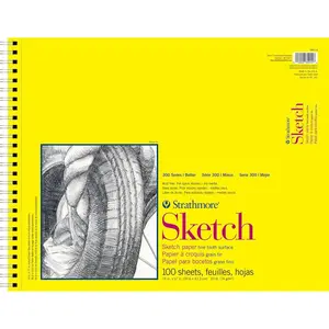 300 Series Sketch Pad, 14x17 inch, 100 Sheets, Top Wire - Artist Sketchbook for Drawing, Illustration, Art Class Students