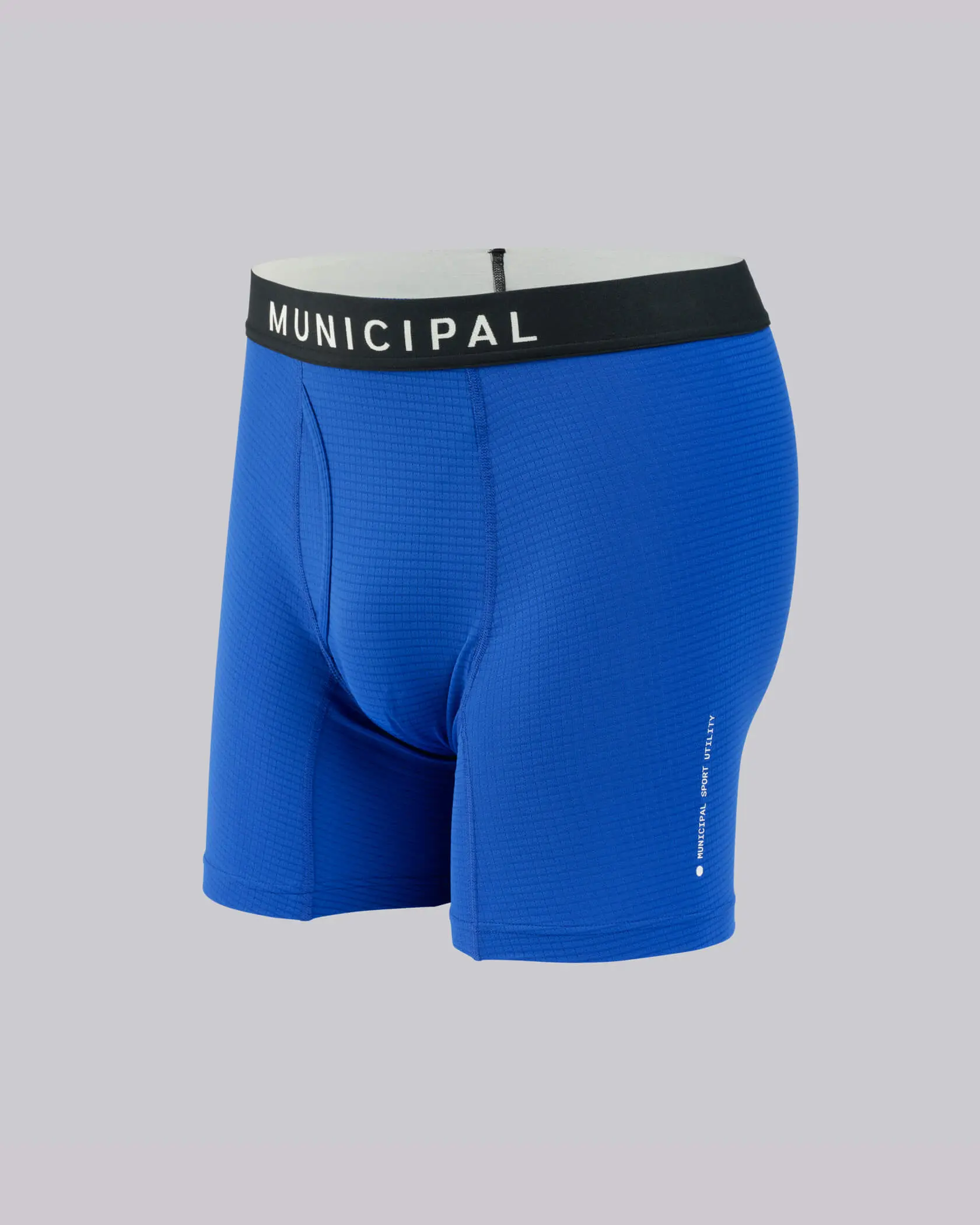 Men's Pro Compression Fit Boxer Briefs - Menswear Sportswear Athletic Underwear with Elastic Fabric, Breathable Stretch Polyester, Engineered Panels, Flat Seams, Jacquard Waistband, Heat-Transfer Label, Mid-Rise, All-Season Activewear, Logo Band
