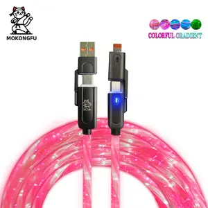 Mokongfu 120W 4 - in - 1 LED Cable, Stunning Gradient and Rainbow LED Fast Charging & Data Cable, USB A and Type - C Enabled, 3.3ft/6.6ft/10ft Choices, Fit for iPhone 14/15/16/17/Plus/Pro, iPad Mini/Air/Pro, Samsung Galaxy S/Note Series