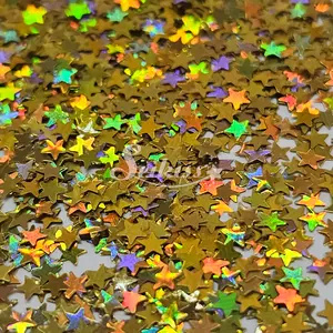 Gold Holo Stars Shape Glitter - Gold Glitter
