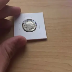 Ungraded Non-Circulating US Buffalo Nickels - Collectible Items for Numismatists (Collectibles, Coins & Bullion Category)