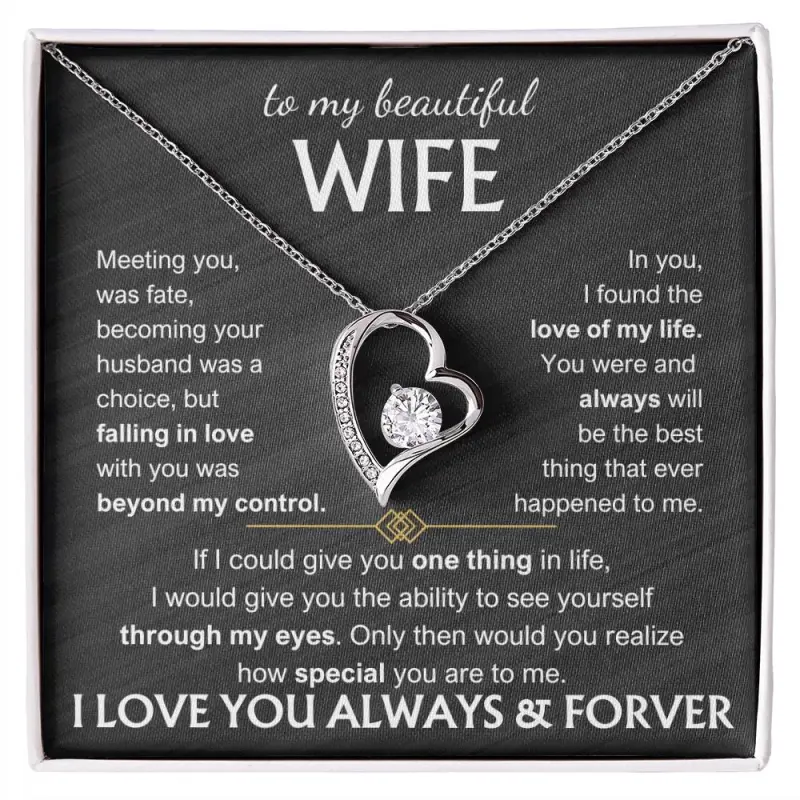 To My Beautiful Wife Necklace from Husband, Meeting You Was Fate, I Love You Always & Forever Necklace