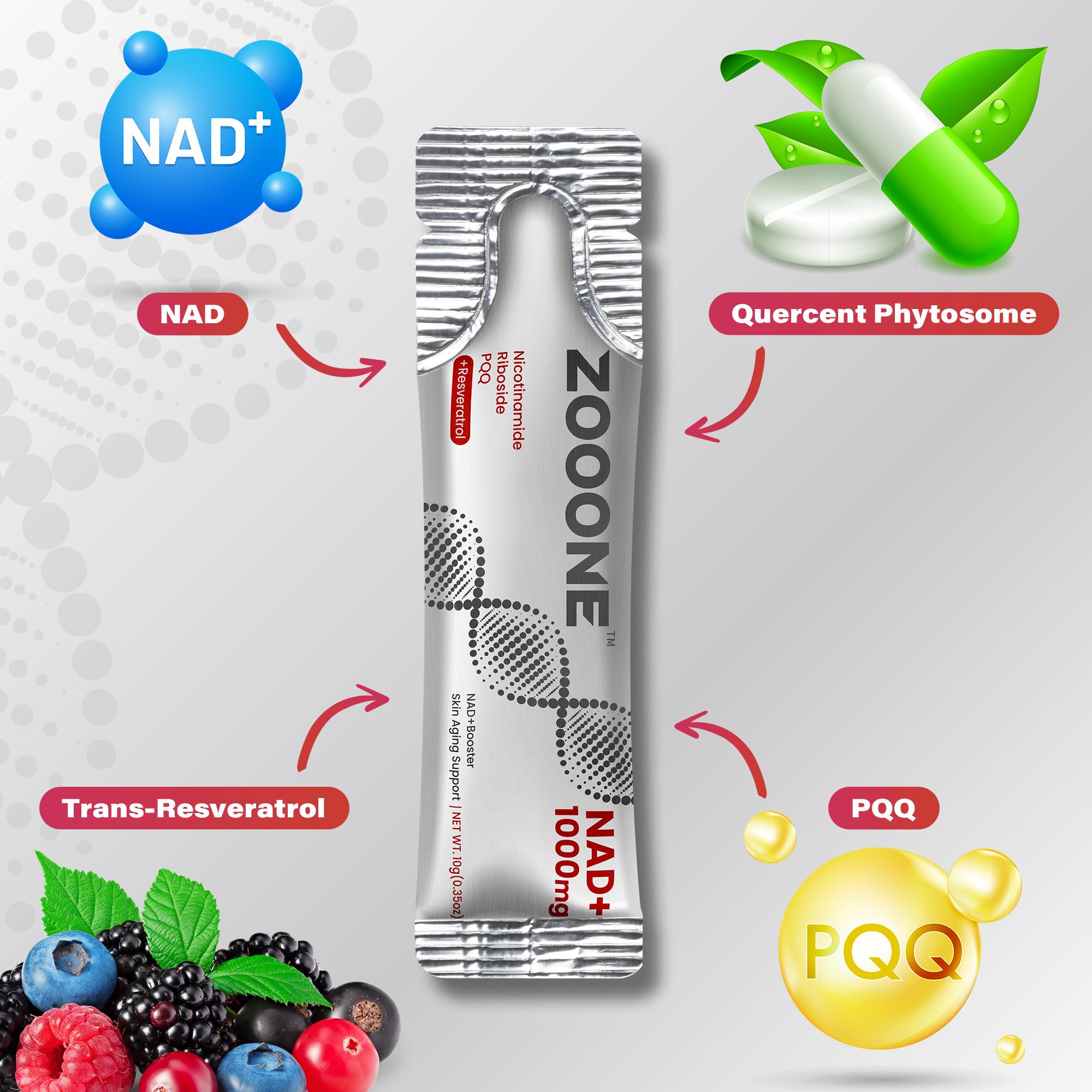 Zooone-NAD berry fruit flavor  Supplement - Liposomal Nicotinamide Riboside