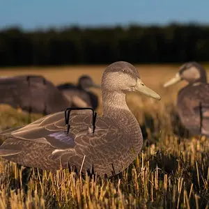 Real-Geese Econo Series Black Duck Silhouette Decoys (12 Pcs)