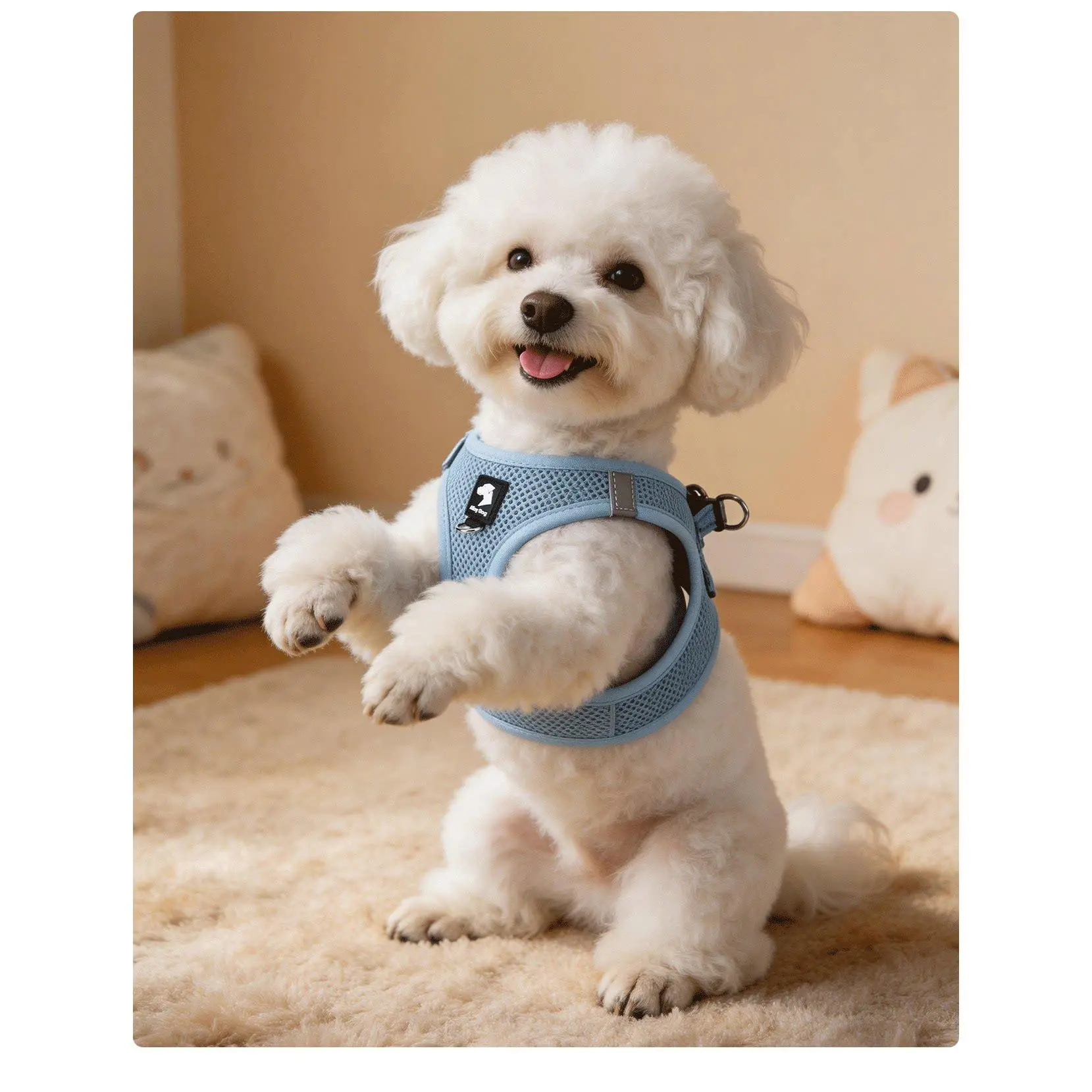 Vest Style Pet Harness For Small And Medium Dogs, Breathable Comfort Escape Proof For Outdoor Walking Vest Style Pet Harness For Small And Medium Dogs, Breathable Comfort Escape Proof For Outdoor Walking