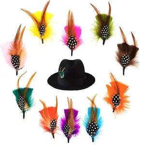 Hat Feather Assorted Natural Feather Men Women Hats Crafts Art DIY Colorful Hair Accessories Earring Mask Clothing Decor 10 PCS