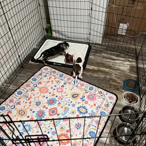 Reusable Dog Pad, Super Absorbent Pet Training Mat, Washable Anti-Slip Puppy Pad, Prevents Urine Leakage, Universal Size, Pee Pads