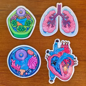 Biology Vinyl Stickers - Animal Cell, Plant Cell, Heart, and Lungs - Colorful Vinyl Stickers