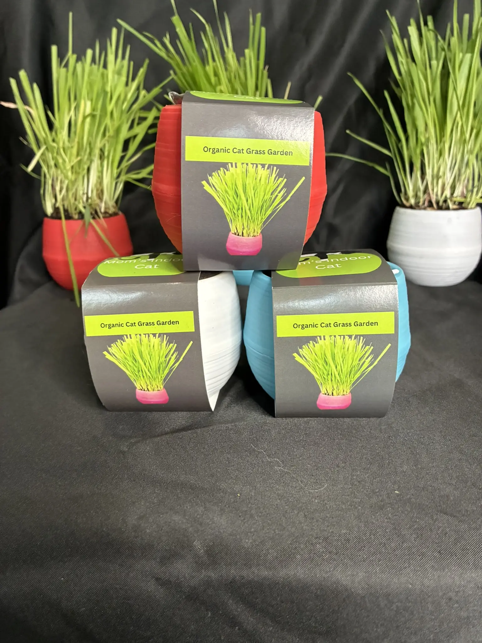 Summer 3 Cat Grass Ball sale