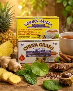 GN+VIDA Herbal Tea Variety Pack | Ginger Teas | 60 Total Tea Sachets