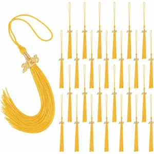 24 count 2026 Graduation Tassels, 9 Inch Grad Cap Tassel with  Charm for High School College University Graduation Ceremony Decorations(24, )