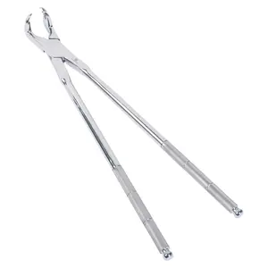 THREE PRONG ROOT MOLAR FORCEPS OFF SIDE 19"