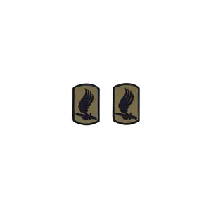 U.S. Army 173rd Airborne OCP Patch with Hook Fastener (pair)