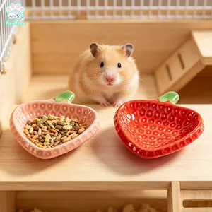 2 Pack Hamster Bowls, Ceramic Hamster Food Bowl, Chew Resistant Small Animal Feeding Dish, Heavyweight for Hamsters, Gerbils, Chinchillas, Hedgehogs & Rats, Cute Strawberry (Pink & Red)
