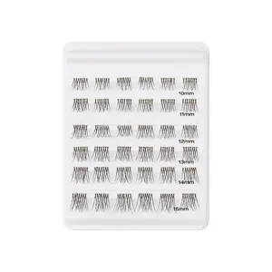 i-ENVY Cluster Palette Kit Eyelashes Makeup