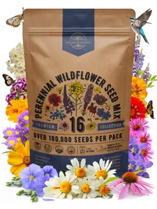 16 Perennial Wildflower Seeds Mix