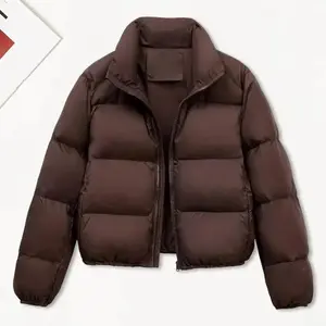 Winter Women Parkas Stand Collar Neck Zipper Closure Coat Long Sleeves Windproof Heat Retention Padded Down Coat Casual Sports Jacket Technical Jacket