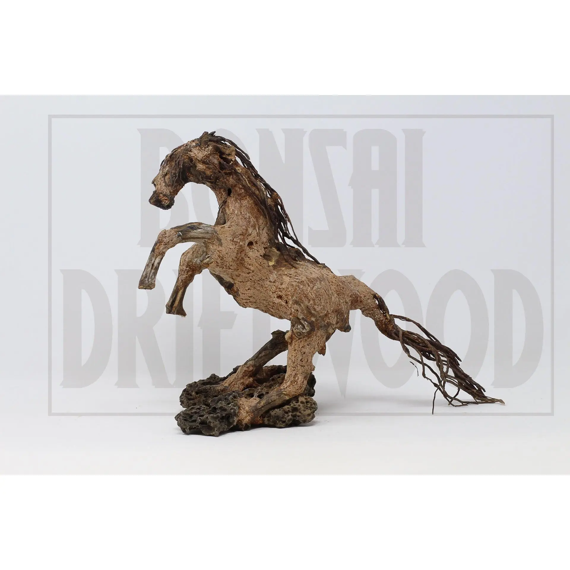Aquarium Driftwood Bonsai Tree Quince AquaScape Fish Planted Freshwater SP-29