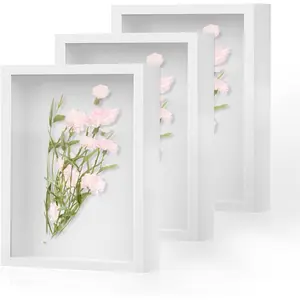 Shadow Box Frame 8x10 3 Pack Wood Deep Shadowbox with Glass Display Cases Suitable for Photos Dried Flowers Handicrafts Picture Frames for Wall White