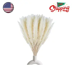 30 Pcs Natural Dried White Pampas Grass ,17 inch/45 cm