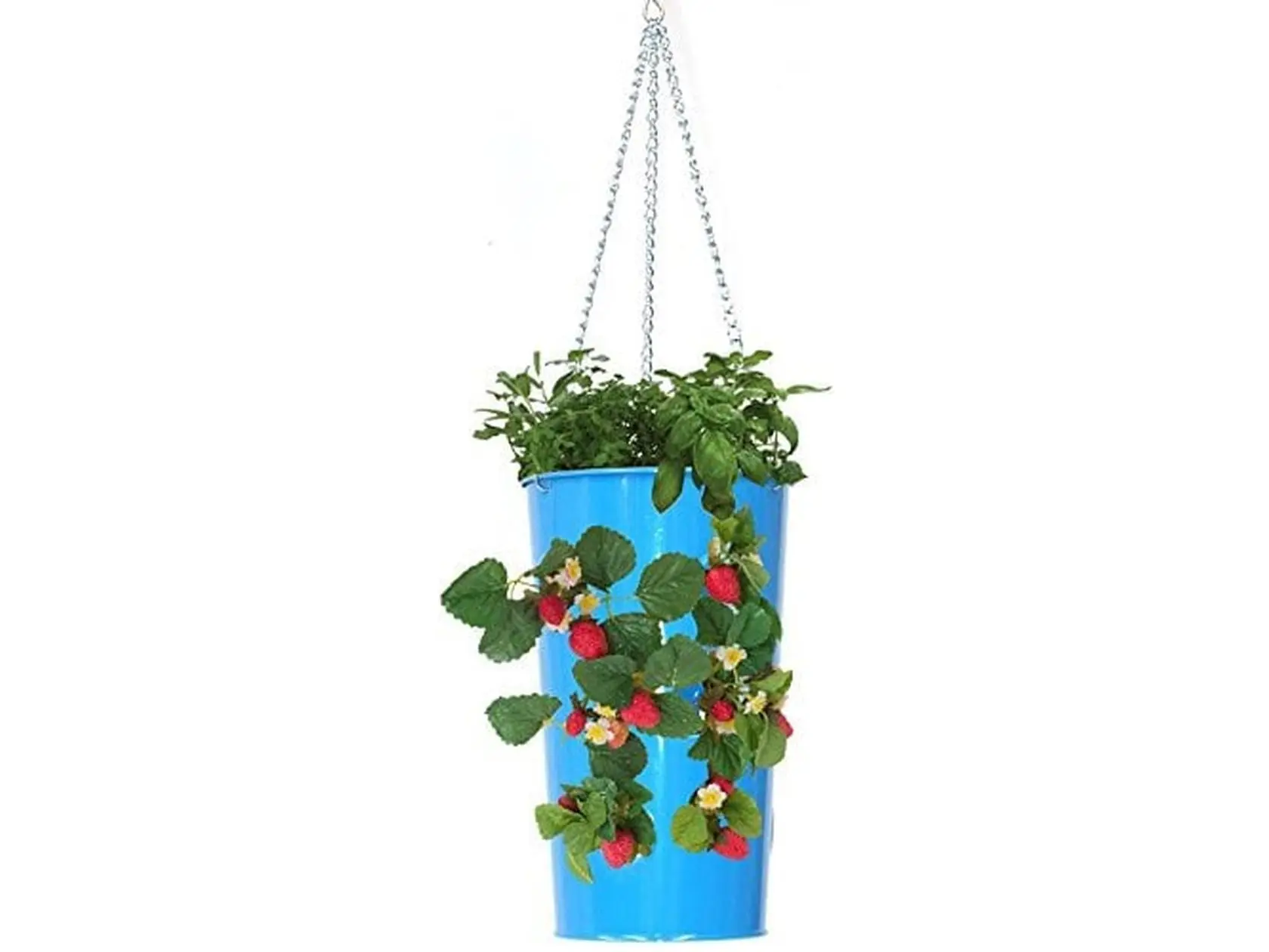 7 in. x 12 in. Outdoor Enamel Coating Galvanized Hanging Strawberry Planter, Floral Theme Design - Blue, Cylindrical