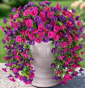 4/6/8 Pack Artificial Hanging Dendrobium Orchid Purple Flowers, Fake Hanging Plants with Vivid & Long-Lasting Color, Spring/Summer Decoration Indoor & Outdoor Decor for Garden, Window Sill SummerVibes