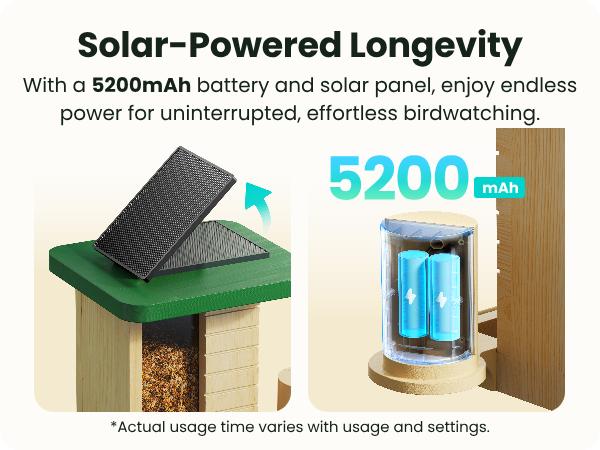 Birdfy Smart Bird Feeder with Camera Solar Powered, Night Insight & Slow-Motion Video for Outdoors & Backyard Birds Watching, AI Identify 6000+ Species , Wood