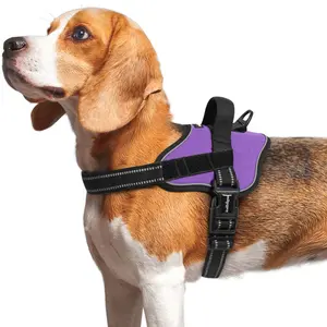 Rabbitgoo Easy Walk Dog Harness