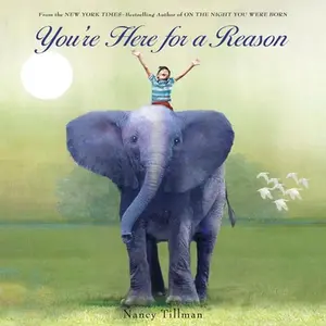 USED Book - You're Here for a Reason by Tillman, Nancy (Board book) - english