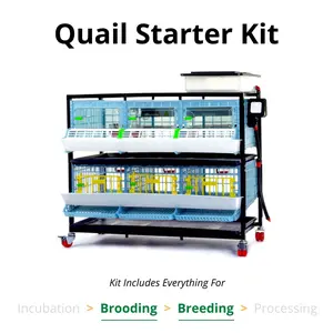 Quail Starter Kit - Complete Kit to Begin Raising Healthy Quail