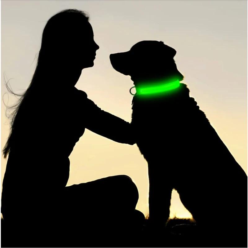3 Modes Dog Luminous Charge Collar Led Usb Cat Dogs Collars Detachable Night Led Glow Dog Loss Prevention Collar Pet Accessories 3 Modes Dog Luminous Charge Collar Led Usb Cat Dogs Collars Detachable Night Led Glow Dog Loss Prevention Collar Pet Accessories