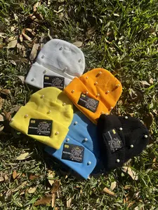 Pretty Little Problem Beanie