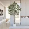 VITALISMO Fluffy 6-8ft Fake Potted Olive Tree with Branches, Leaves & Fruits - Decorative Accents Tree for House Decor, Toilet, Balcony (Home Decor Accessory, Artificial Plants)